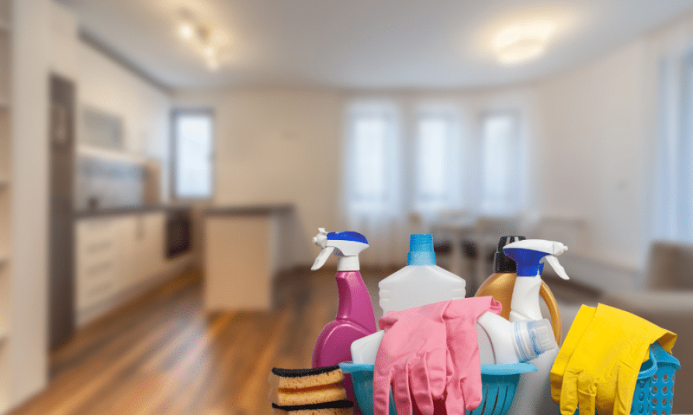 Hoover Alabama Cleaning